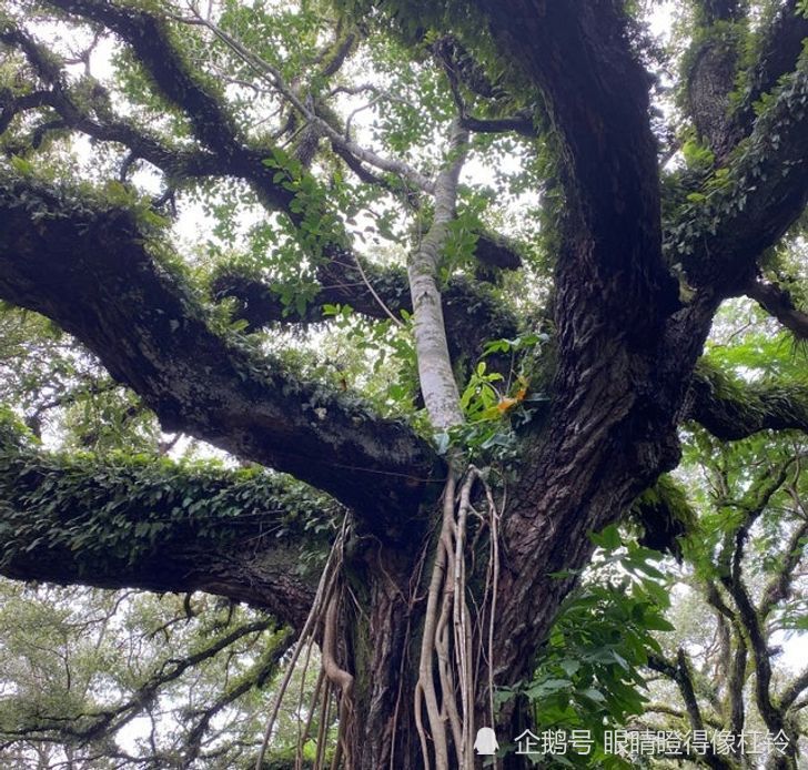 植物那震撼人心的顽强生命力让浑浑噩噩生活的人惭愧地低下了头