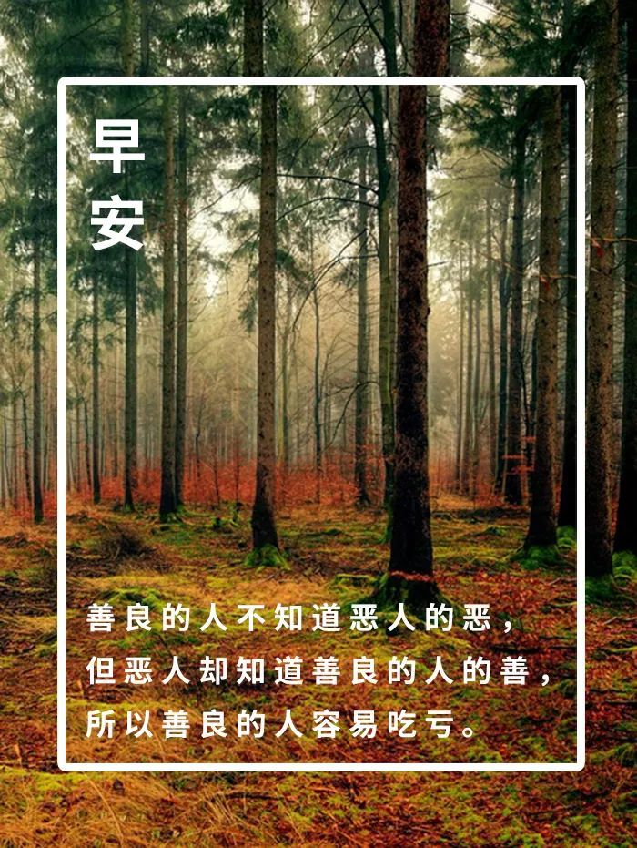 善良的人不知道恶人的恶,但恶人却知道善良的人的善,所以善良的人容易
