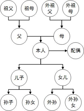 民法典中的亲属,近亲属及家庭成员范围:谁才是你的"真