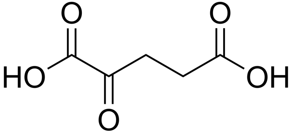 该研究表明 α-酮戊二酸盐(akg)作为一种健身膳食补充剂可能有更全面