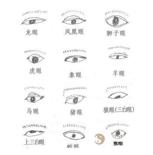 相学是中国五术中的一种学问,常见的手相,面相等等身体的一些特征