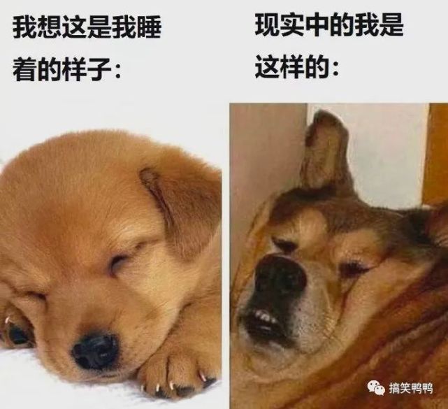 看饿了!    你睡着后的真实样子
