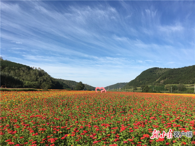 合水县太白镇花溪谷景区一瞥.