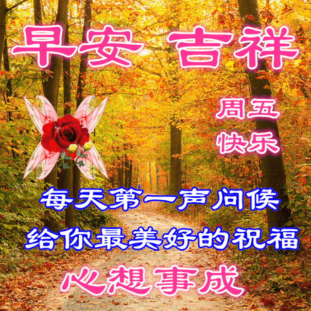 冬天最棒的早安问候图片 祝福好运的清晨祝福美图