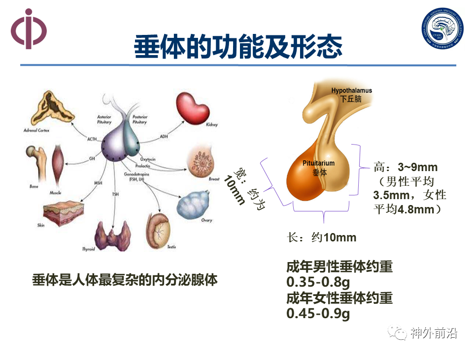 中山一院王海军:垂体腺瘤的治疗过程中的问题