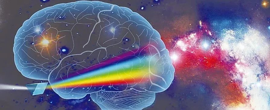 我们如何看到颜色?科学家发现大脑"调色板"