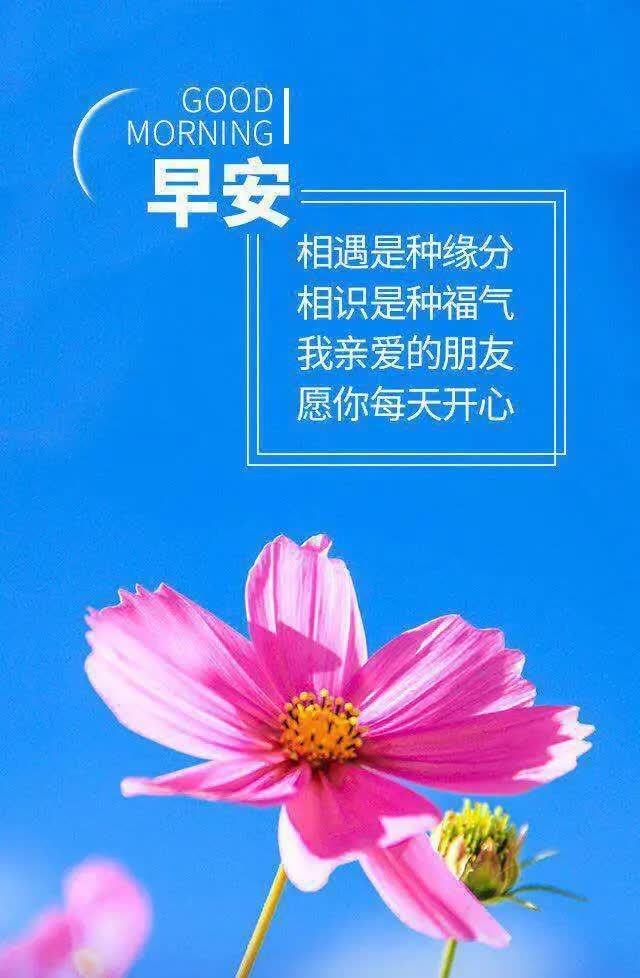 9月4日12条早安正能量:困难就像弹簧,你要软它就强