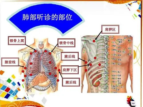 医生用听诊器在你身上听什么?能听出哪些病?