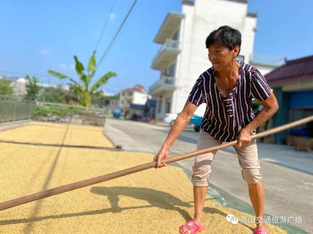 孩子吃饭时有剩饭,黄爷爷会一板一眼地说"粮食不能浪费,都是辛辛苦苦