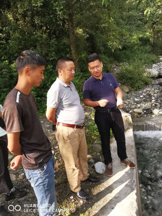 ͼƬ