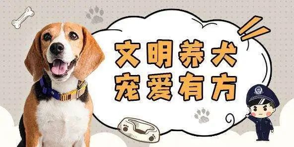 养犬,也要文明