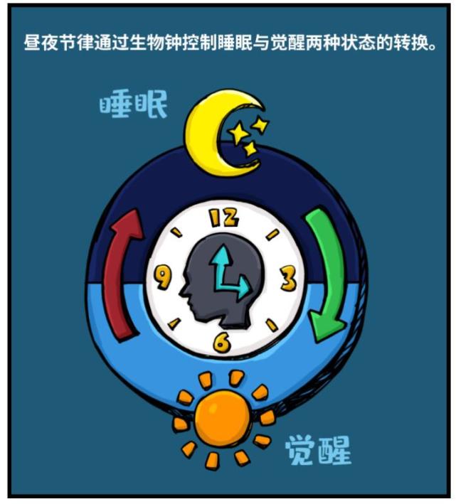 失眠成困扰白领顽疾，这项最新研究或提供新解决方案腾讯新闻 