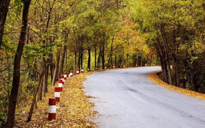 宝鸡秋天最"美"自驾公路 !风景够惊艳!