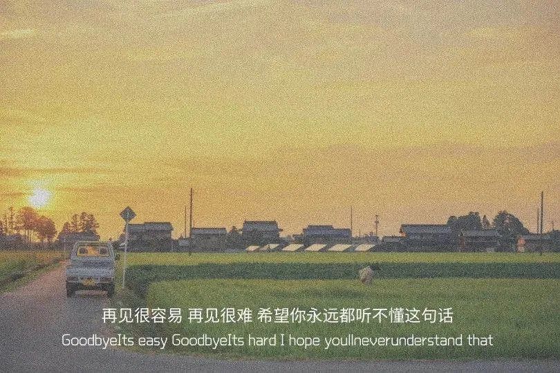 【热门背景图】熬过了这段时间,谁给的糖我都不要!