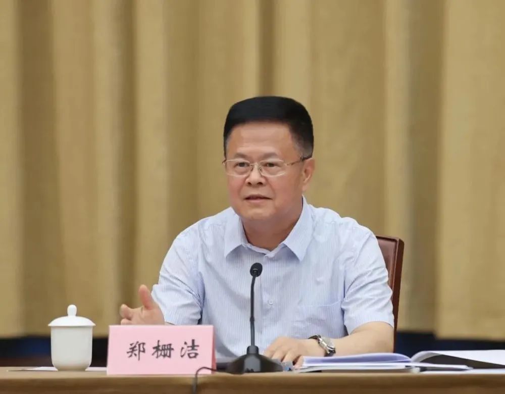 十三届人民代表大会常务委员会主任,选举郑栅洁为浙江省人民政府省长