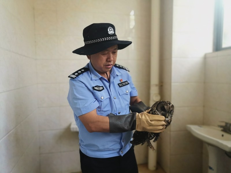 昆明晋宁区森警救助两条野生动物