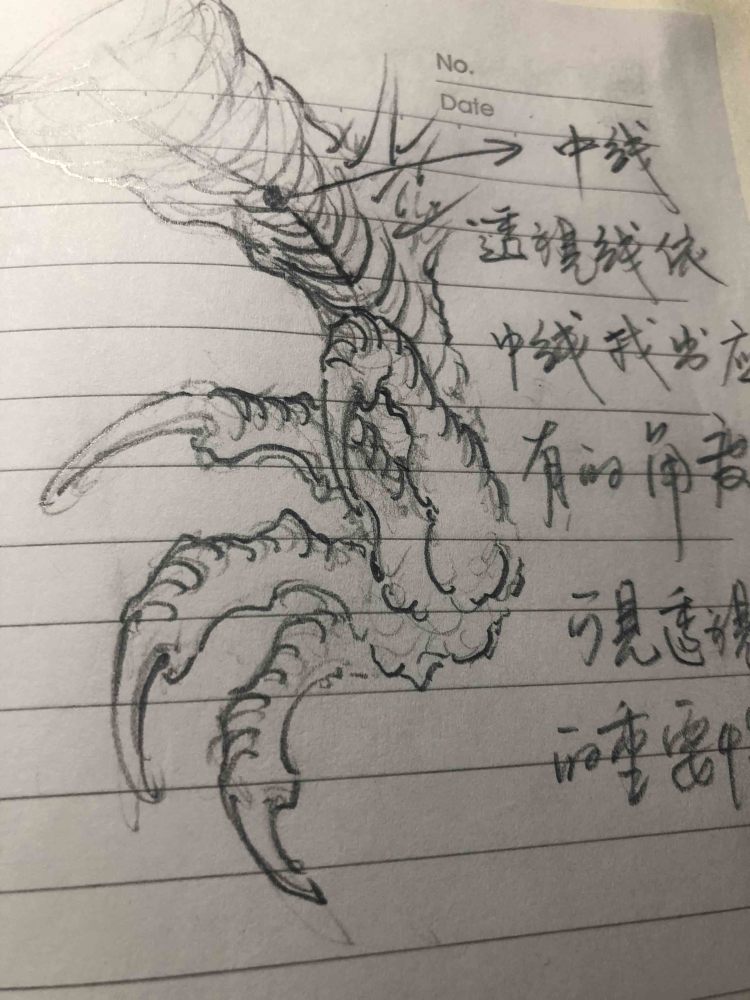 中国龙《画龙笔记》龙爪研究记