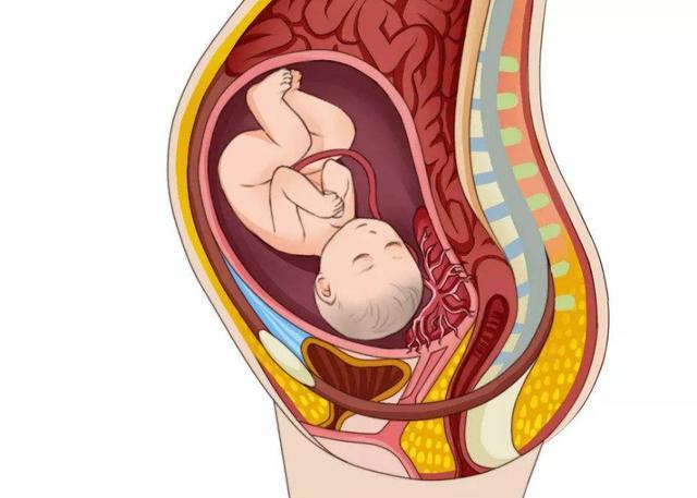 胎盘在子宫中的位置,会影响到妈妈和胎儿健康,最后一种很不好
