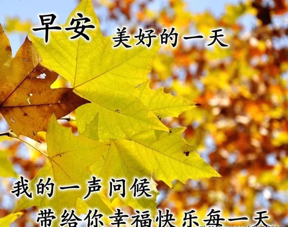 9月6日清晨阳光最新祝福语大全 早上好问候语及暖心的