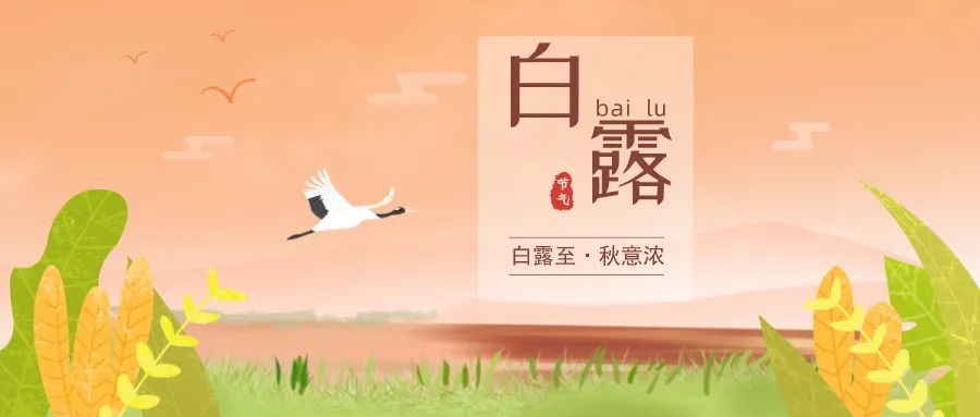 白露节气到:清风白露,愿你百岁无忧!