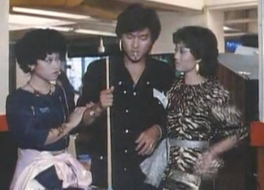 同样是在1981年,由刘德华第一次担任主演的电视剧《江湖再见》正式