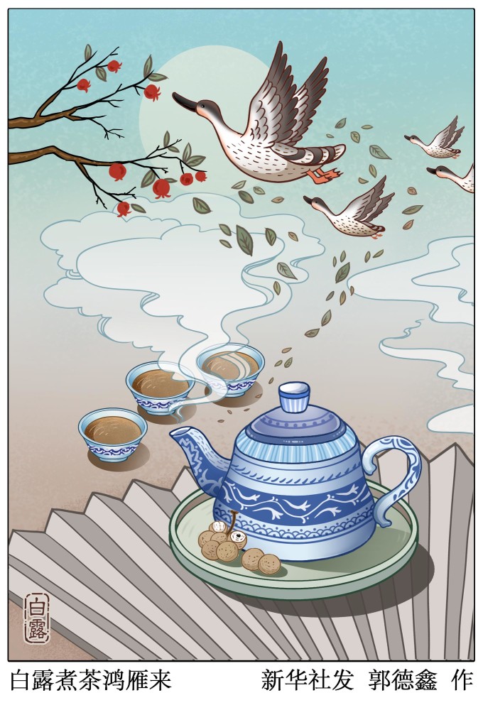 【二十四节气·白露】白露煮茶鸿雁来