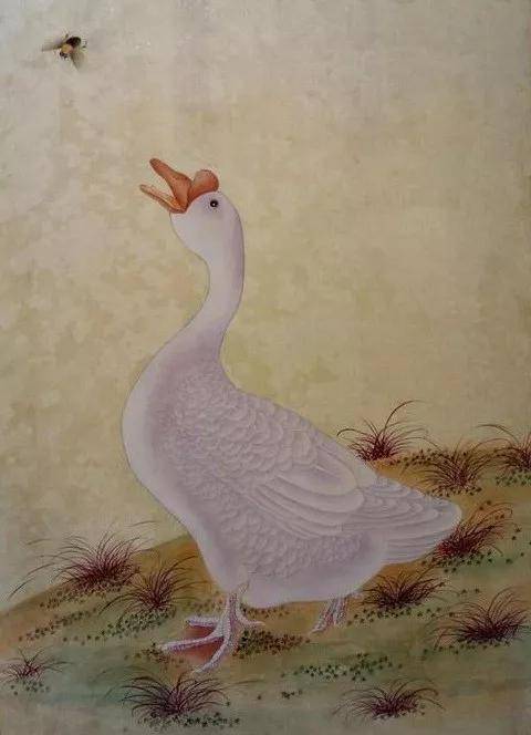 工笔画《鹅》绘画步骤教程|工笔画|鹅|绘画|赭石|罩染