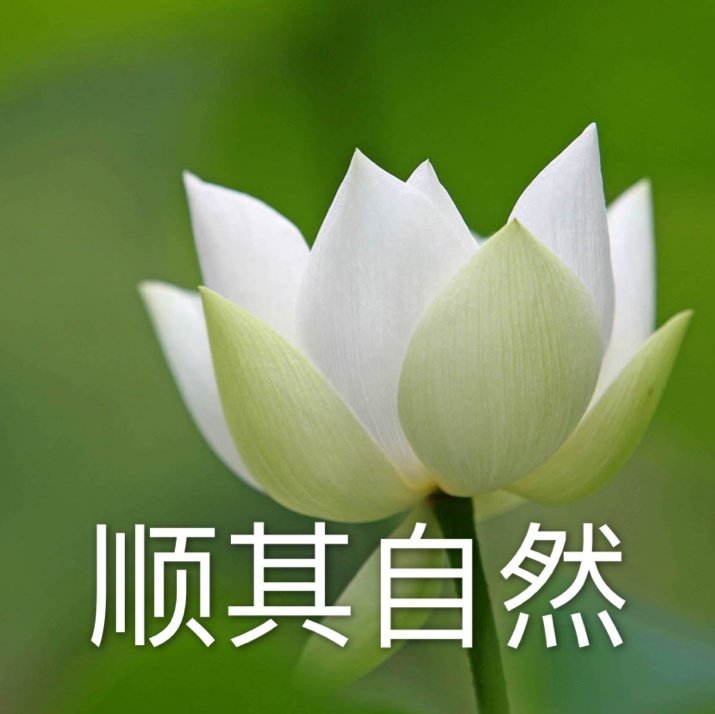 还上新头像混入家长群