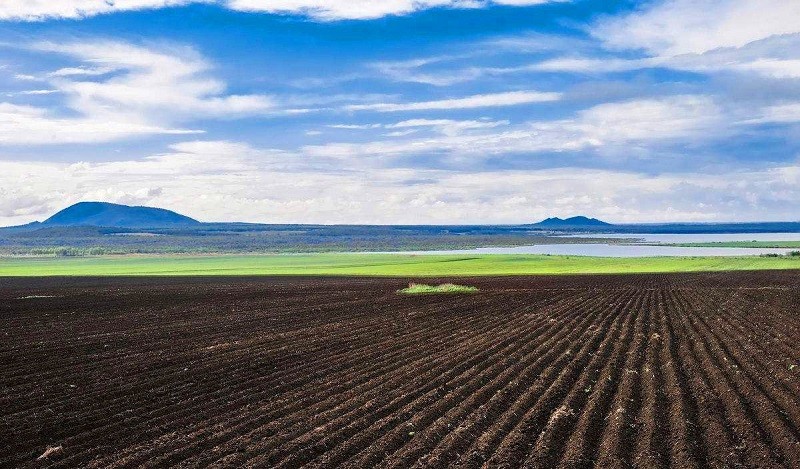 除此之外,乌克兰国土面积的2/3都是肥沃的黑土地,占世界黑土总量的1/4