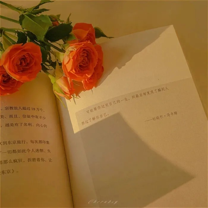 微信朋友圈背景图‖一生努力,一生被爱
