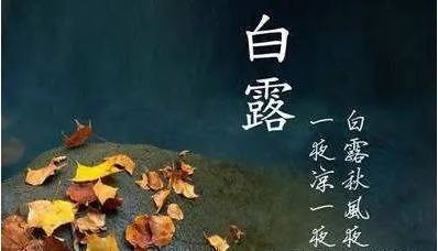 白露节气说说祝福问候语 白露祝福语精选