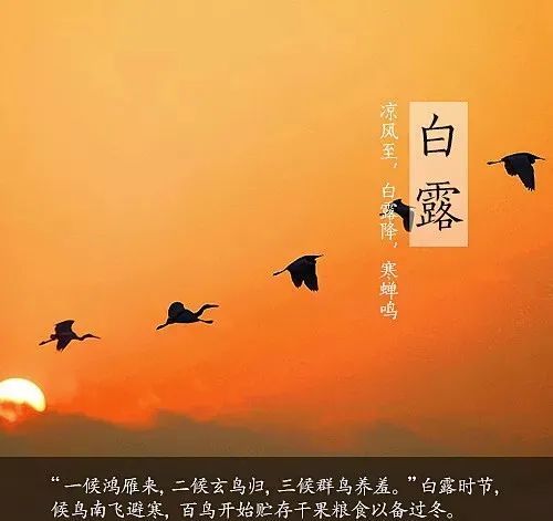白露早安祝福语图片带字 最新白露祝福短句