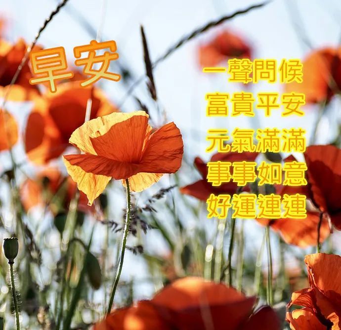 早上好图片大全高清 早上好图片祝福语