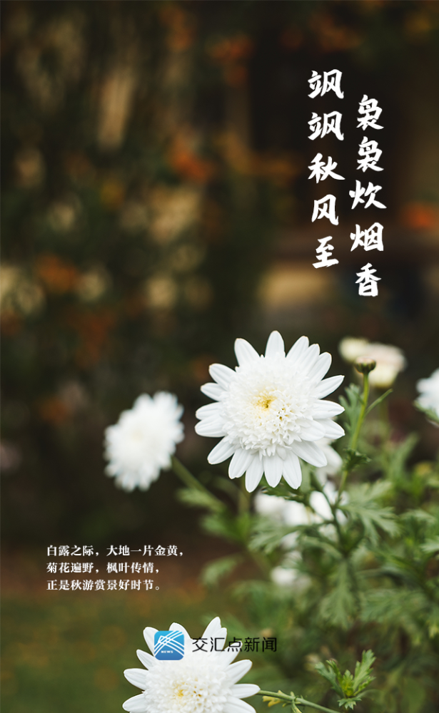 今日,白露!秋色宜人,准备好踏秋了吗?