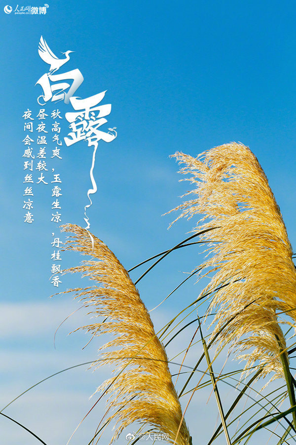 今日白露,秋天要来啦