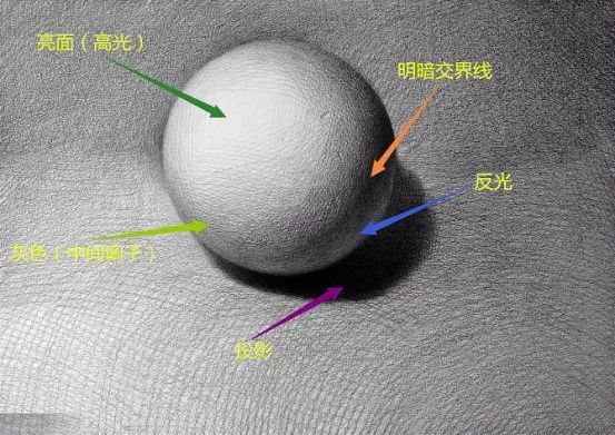 五调子是西方绘画体系中素描教学所用到的专业术语.