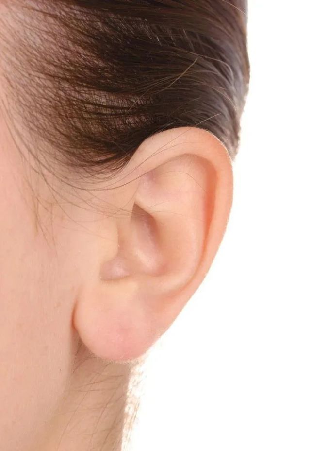 3,耳朵轮廓柔美:耳骨清晰,而肉包得匀称,而且耳骨不外翻,那是最佳的