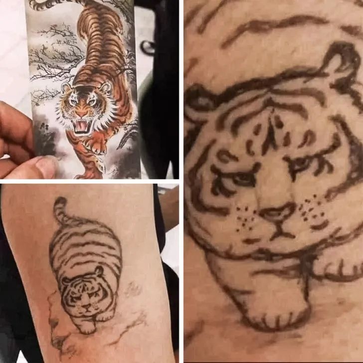 猛虎下山,这老虎伙食不错啊