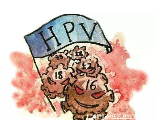 virus)的简称,研究证实,高危型的人乳头瘤病毒持续感染,尤其hpv16,18