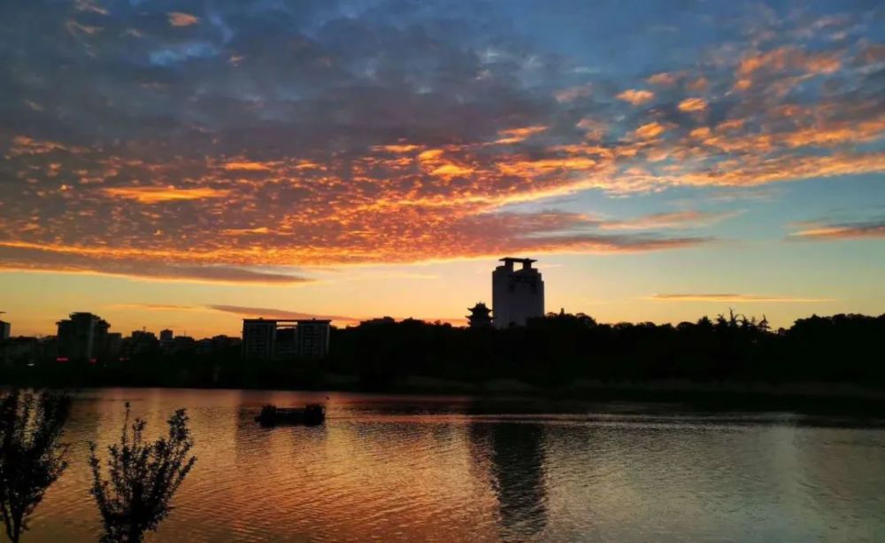 你所熟悉的这些角落和风景,都藏着夏天来过的气息!