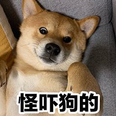 【表情包】废柴雷丘在线卖萌表情