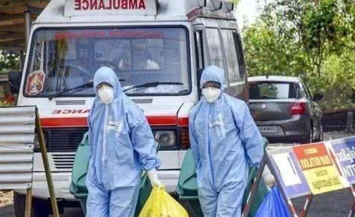 gdp 牛粪_鲜花插在牛粪上图片(2)