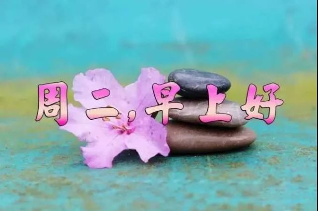 9月8日周二最新早上好问候祝福动态表情图片 早安问候