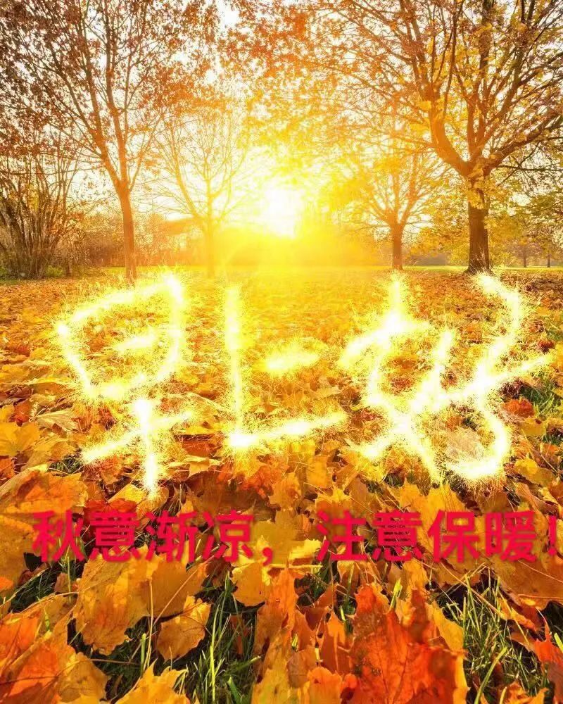 2021秋季早安祝福语 好看的早安问候语动态图,漂亮的大家早上好问候语