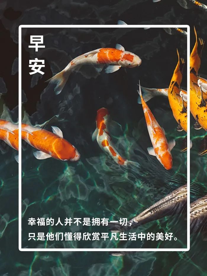 每日早安心语分享 早安心语图片带字
