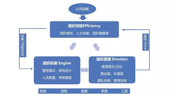 铭拓分享od组织发展全景图