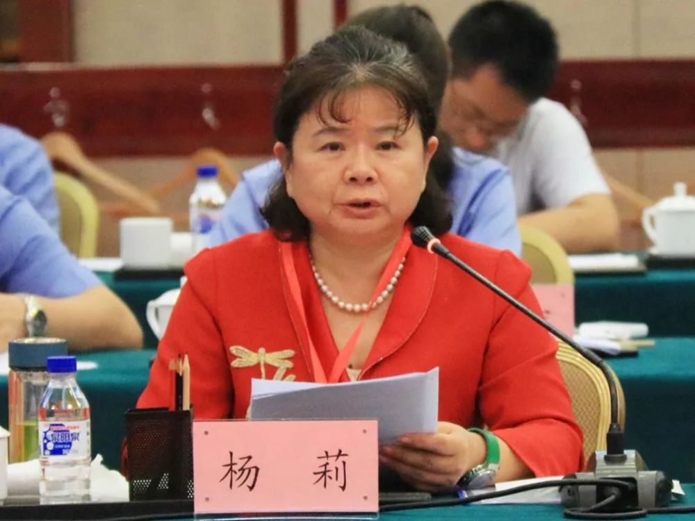 全国人大代表,湖南省岳阳市屈原管理区凤凰乡河泊潭村村民委员会主任