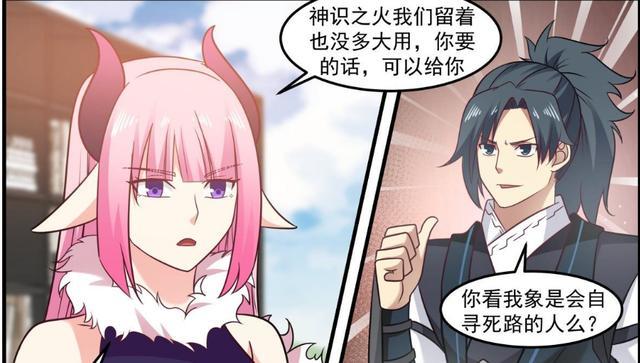 疯狂成长的小石族小石族是杨开送给幽莹灼照的,由于这两位角色无法