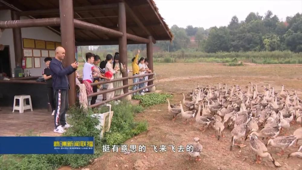 位于天元区三门镇响水村的株洲鸿雁公园,正受到越来越多游客的喜爱.