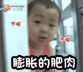 宋民国表情包:膨胀的肥肉
